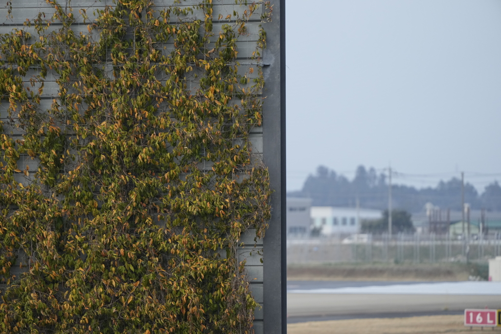 成田空港（十余三東雲の丘）