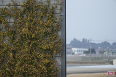 成田空港（十余三東雲の丘）