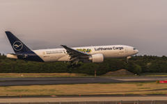 Lufthansa Cargo