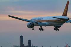 ひこうきの丘より