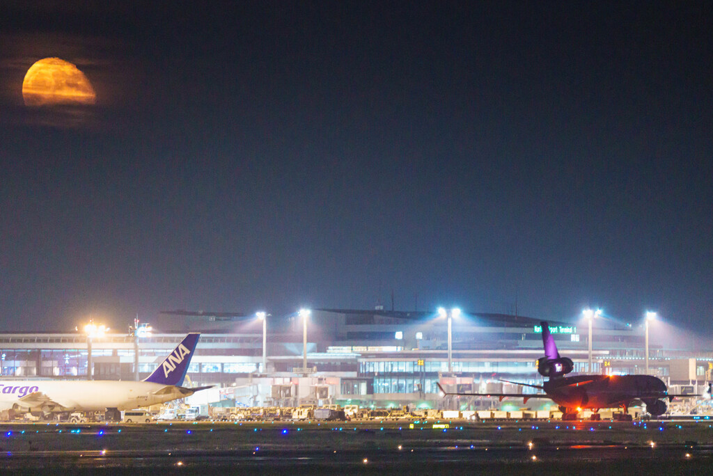 月夜のMD－11