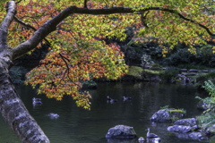 成田山新勝寺にて