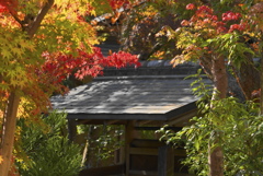 成田山新勝寺にて