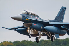 F-2B
