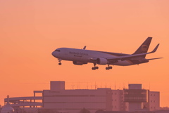 成田空港