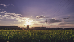 夏-瑞穂 夏-瑞穂