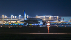 さくらの山公園より