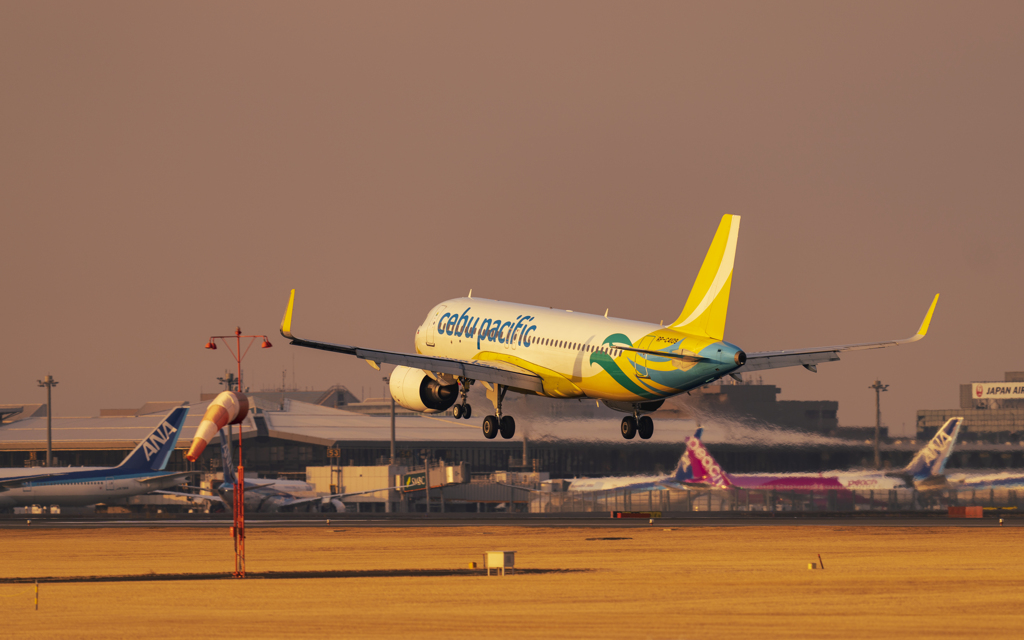 cebu pacific