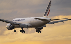 cargo：AIR FRANCE CARGO