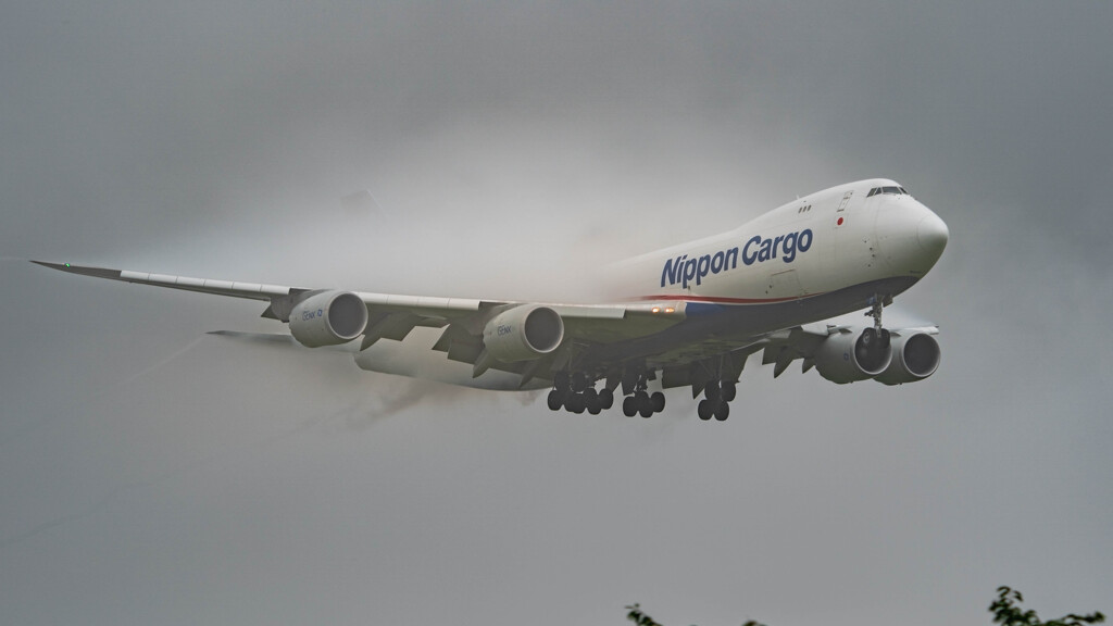 Nippon Cargo