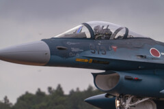 F-2A