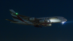 さくらの山にて