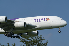 タイ航空