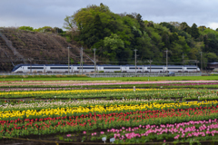 佐倉ふるさと広場にて