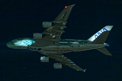 にっこりカイ君ホノルルへ