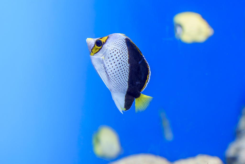 水族園にて