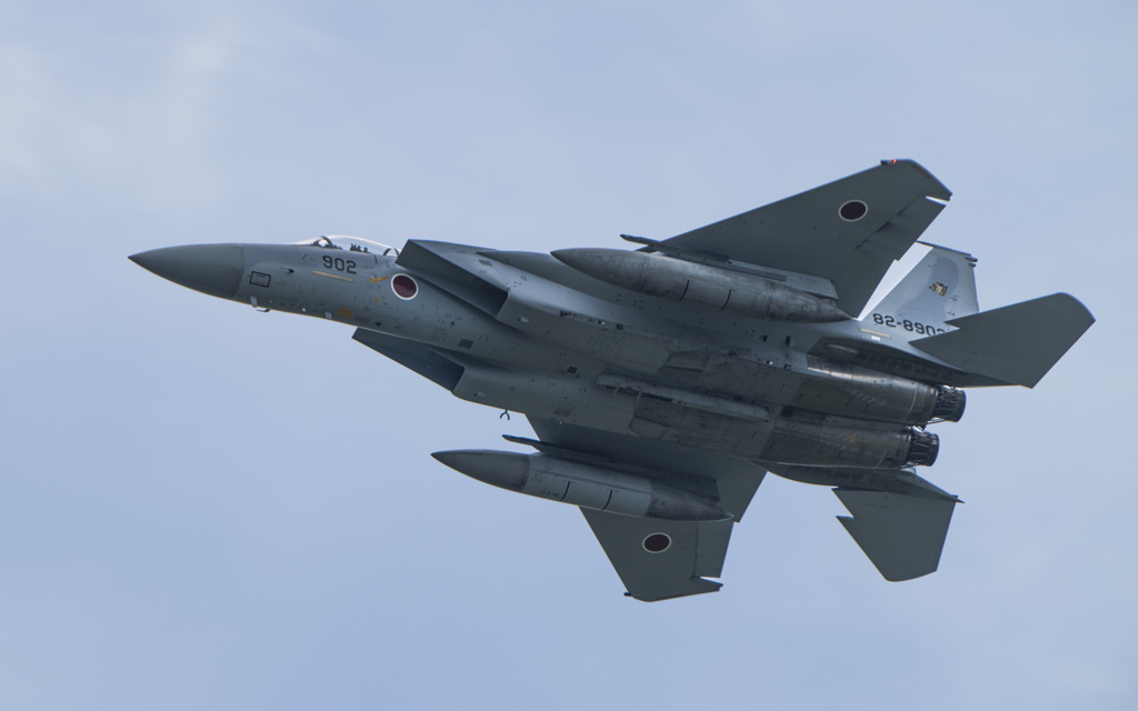 F-15 #17