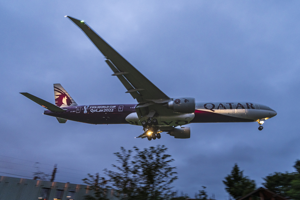 FIFA WORLD CUP QATAR 2022