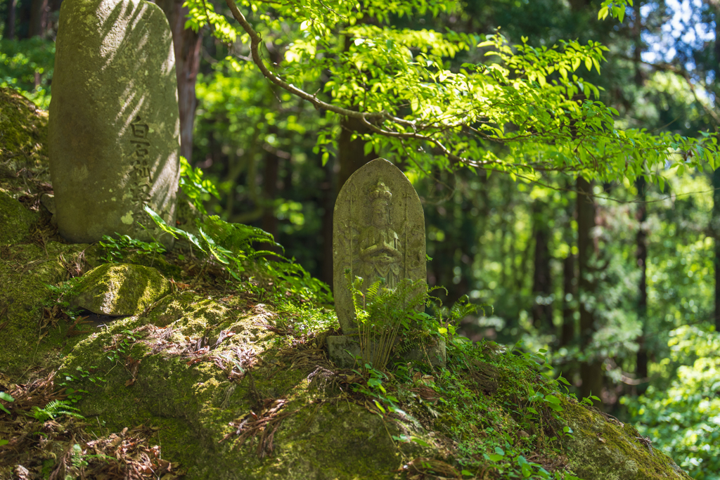 山形にて