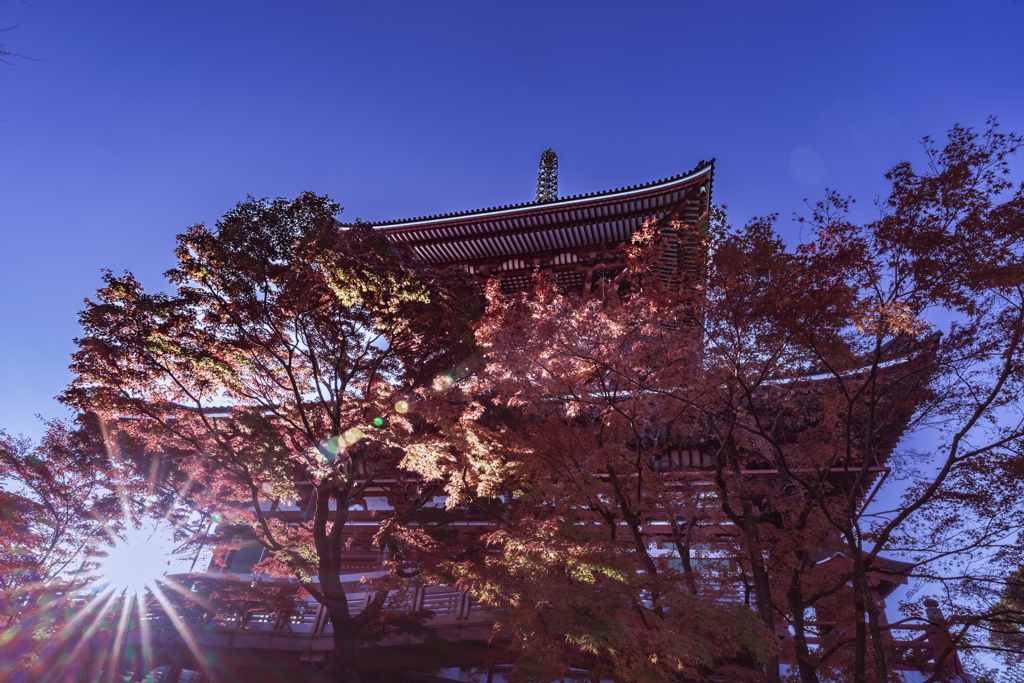錦秋成田山　大塔　その１