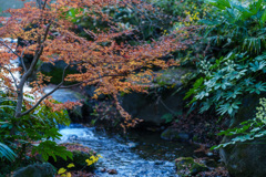 成田山公園にて