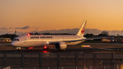 夜明けのJAL