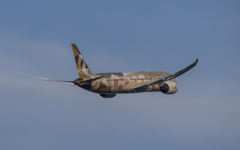 Etihad Airways(Choose Japan)