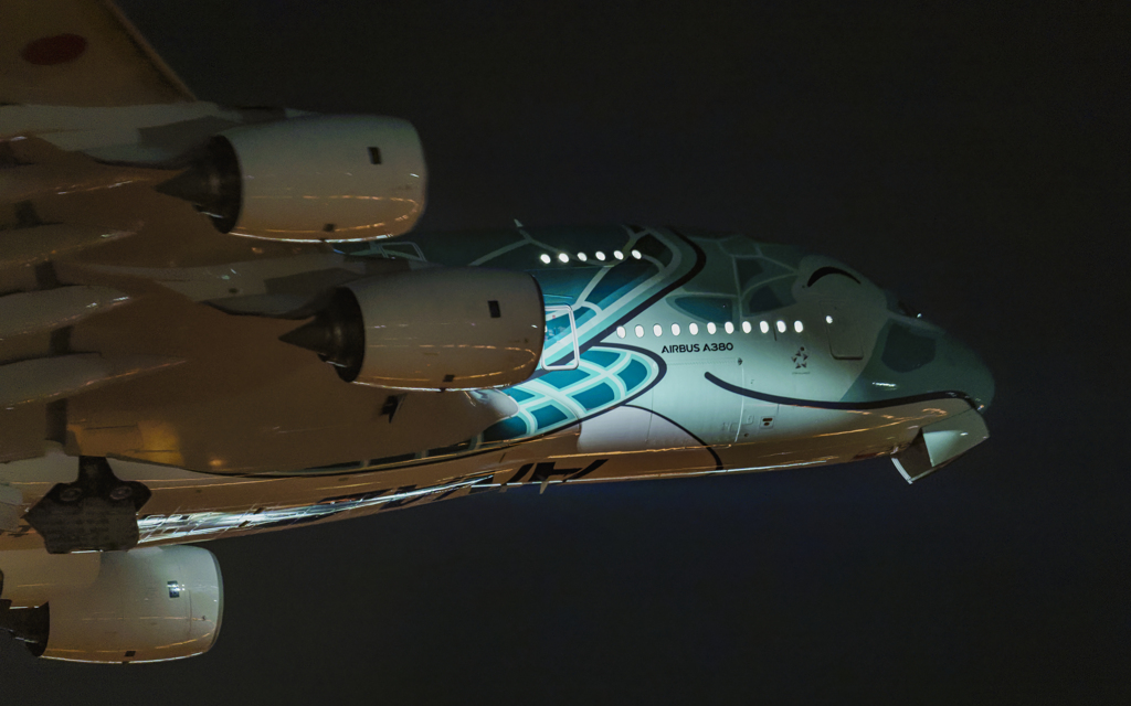 にっこりカイ君ホノルルへ