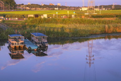 佐倉ふるさと広場遠景 