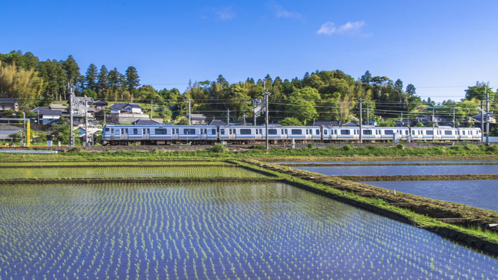 田植えの頃