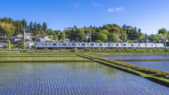 田植えの頃
