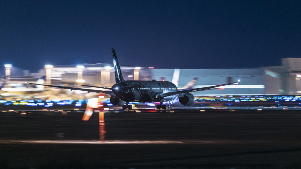 さくらの山公園より