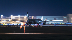 さくらの山公園より