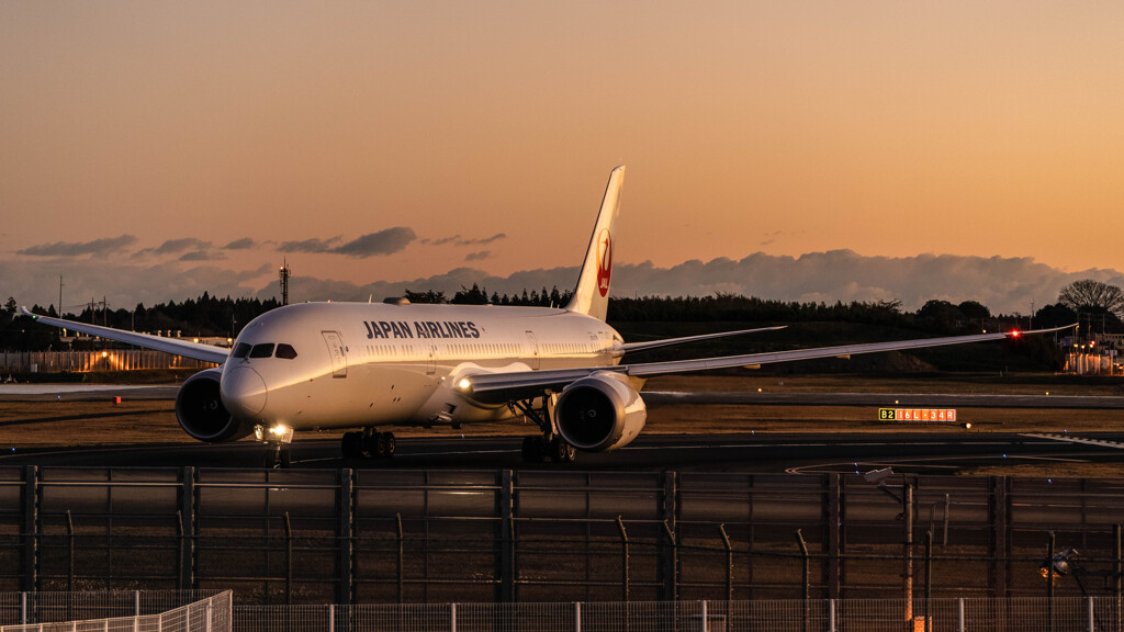 夜明けのJAL