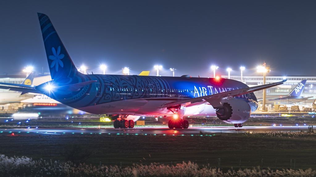 さくらの山公園より