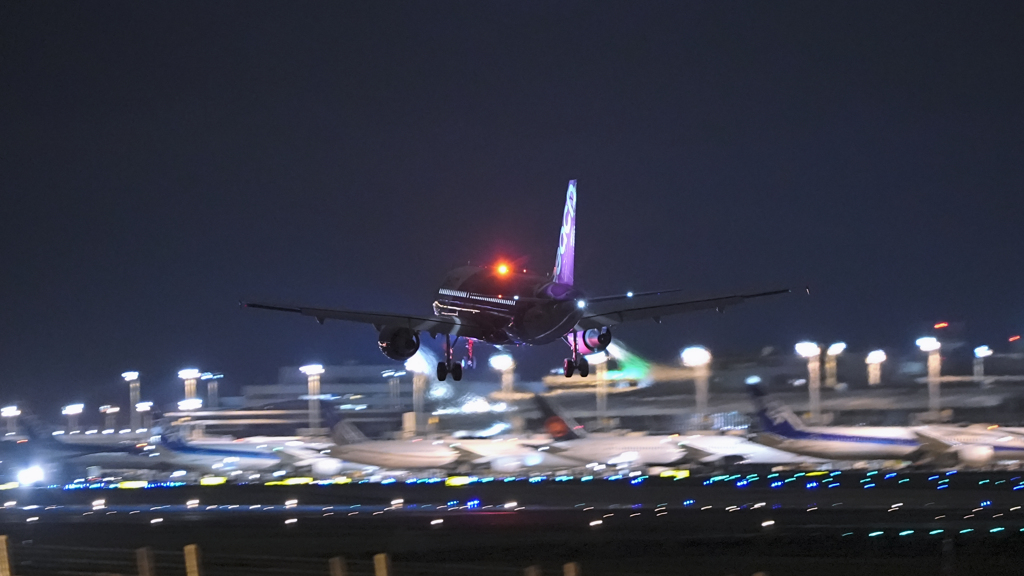 ひこうきの丘公園より