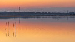 西印旛沼夕景