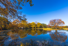 昭和記念公園にて