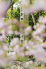 公園散策４