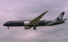 ドン曇りのオールブラックス