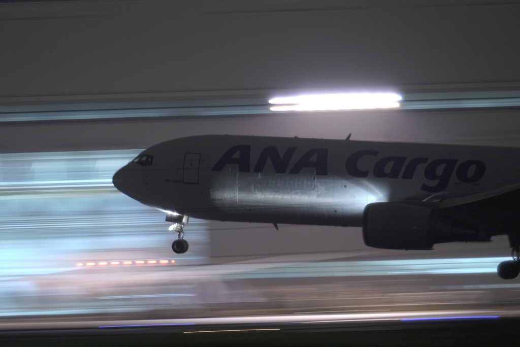 ANA-CARGO