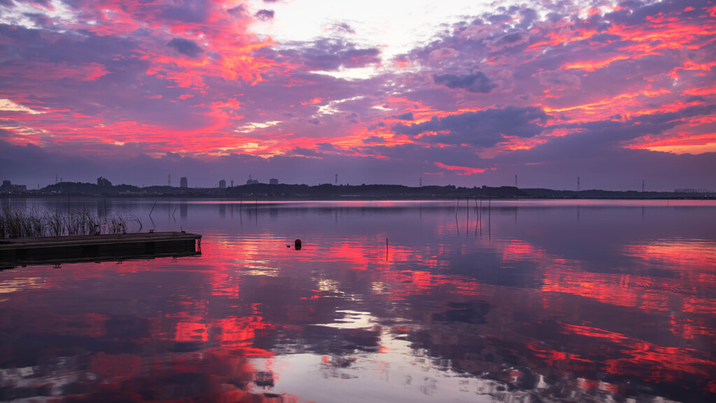 西印旛沼夕景