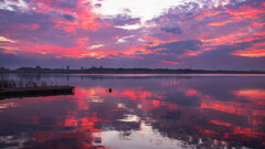 西印旛沼夕景