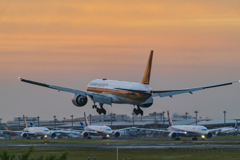 ひこうきの丘より