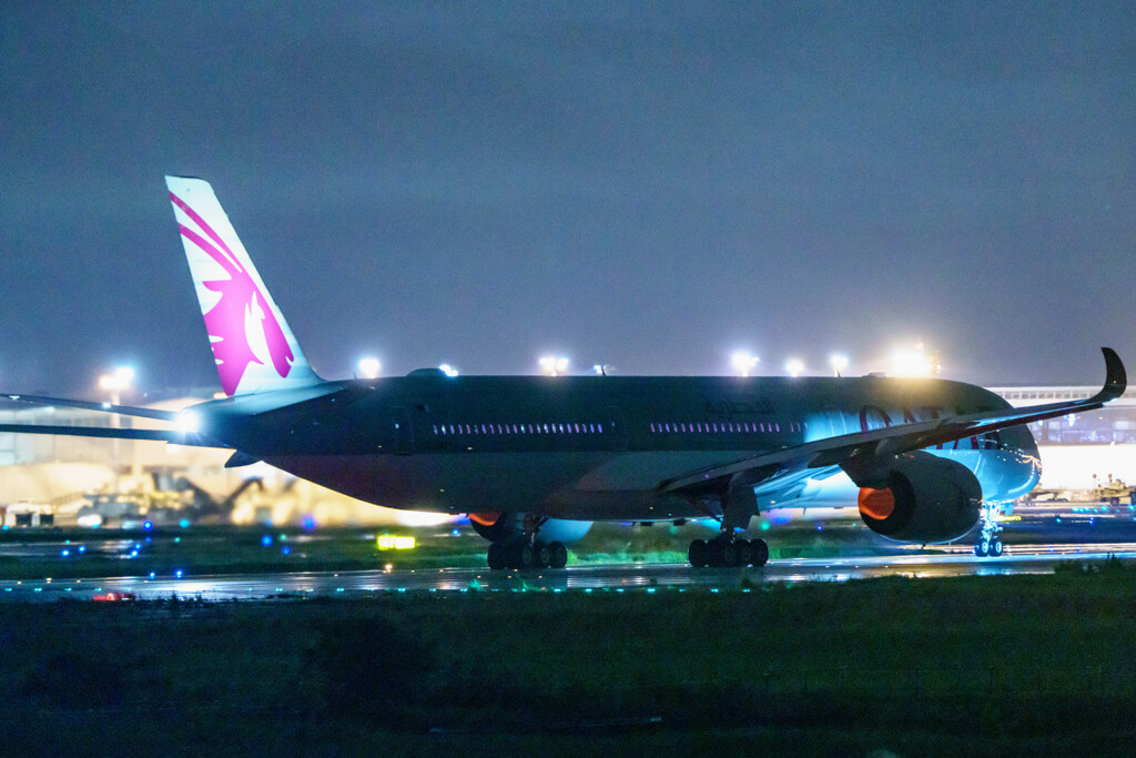 カタール（A350）のレンタン　さくらの山より