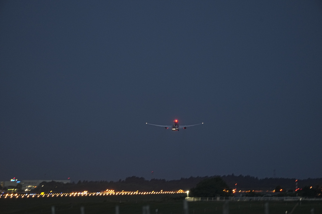 オールブラックス（成田⇒オークランド）