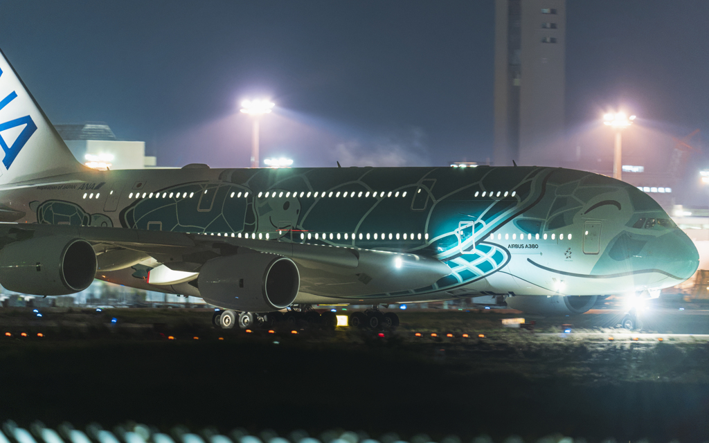 さくらの山公園より