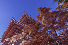 錦秋成田山　大塔　その７