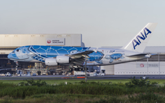 ラニ君　北海道周遊帰り