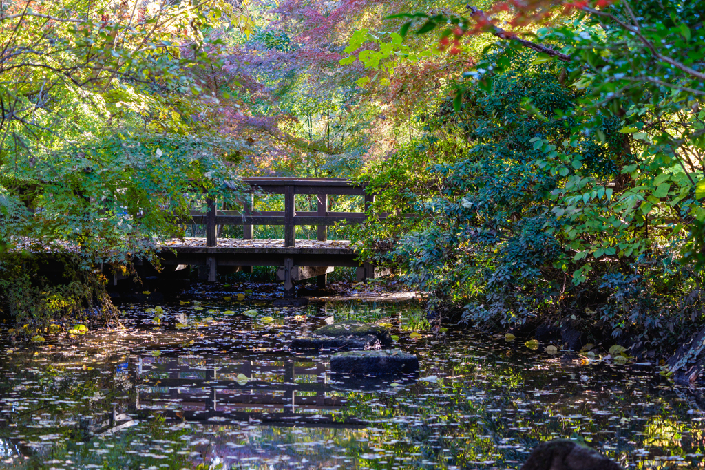 昭和記念公園にて